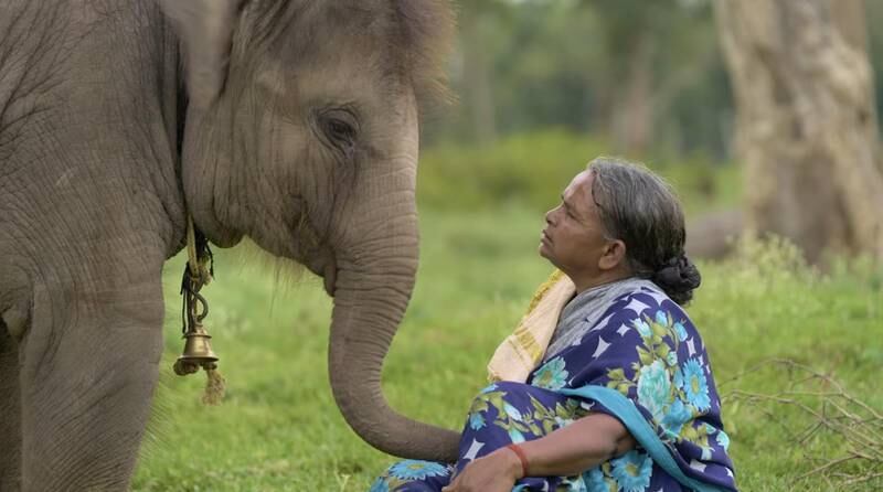 Bellie in a scene from The Elephant Whisperers. Photo: Sikhya Entertainment