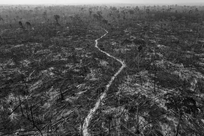 A part of a series titled Amazonian Dystopia, by Lalo de Almeida for Folha de Sao Paulo/Panos Pictures which won the World Press Photo Long-Term Project award, shows massive deforestation is evident in Apui, a municipality along the Trans-Amazonian Highway, southern Amazon, Brazil, August 24, 2020.  Apui is one of the region's most deforested municipalities. Lalo de Almeida for Folha de Sao Paulo / Panos Pictures / World Press Photo