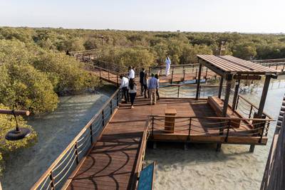 ABU DHABI, UNITED ARAB EMIRATES. 30 JANUARY 2020. The newly launched Mangrove Walk at Al Jubail Islandi. A specially build viewing platform.(Photo: Antonie Robertson/The National) Journalist: Janice Rodrigues. Section: National.