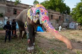 An elephant with a decorated trunk before a religious procession in Ahmedabad. AP