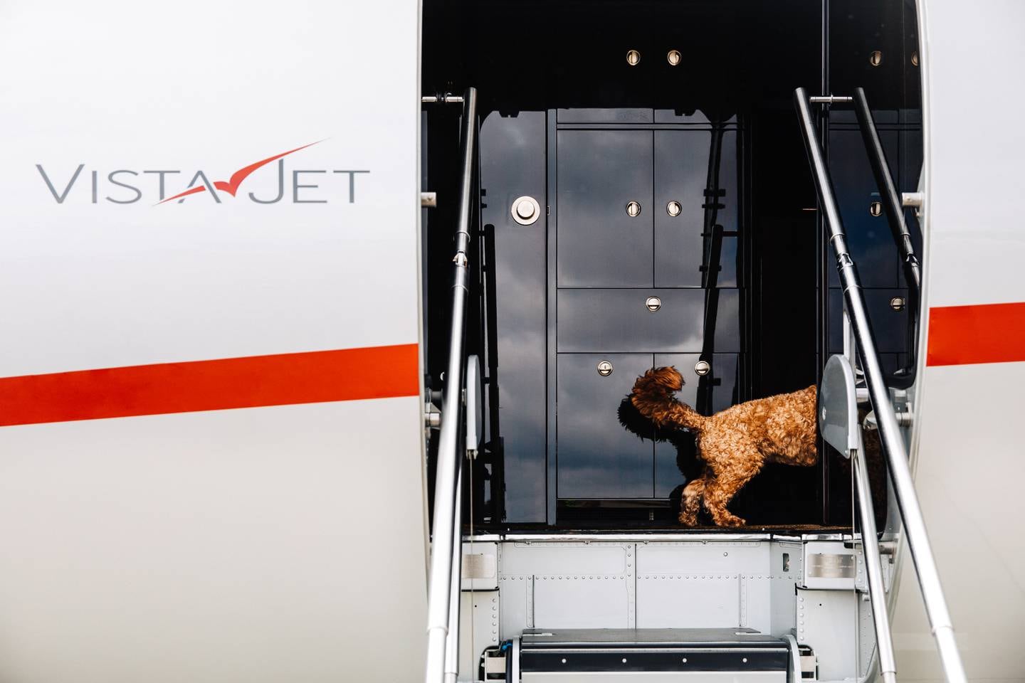 Flying with an animal can be complicated, due to varying regulations and restrictions around the world. Photo: VistaJet