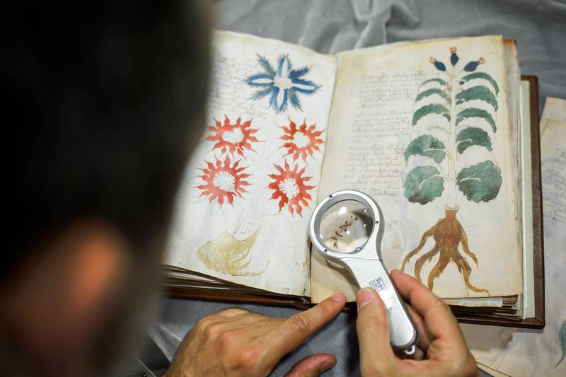 Quality control operator of the Spanish publishing outfit Siloe Luis Miguel works on cloning the illustrated codex hand-written manuscript Voynich in Burgos on August 9, 2016. - The so-called Voynich Manuscript,  a small unassuming book usually stored in a Yale University vault, is one of the most mysterious books in the world, that a small publishing house in northern Spain has finally secured the right to clone.  The precious document containing elegant writing and strange drawings of unidentified plants and naked women is believed to have been written six centuries ago in an unknown or coded language that no one -- not even the best cryptographers -- has ever cracked. (Photo by CESAR MANSO / AFP) / TO GO WITH AFP STORY BY MARIANNE BARRIAUX -