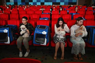 Pet dogs and their owners sit inside the cinema. AFP
