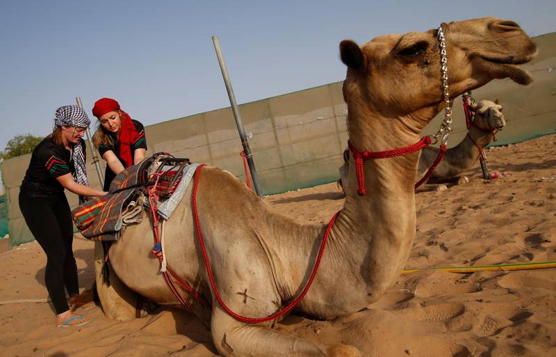 Linda Krockenberger, right, shows Sarah Collins from New Zealand how to prepare a camel for a training session. EPA