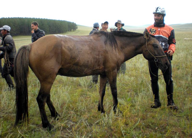 TO GO WITH STORY Lifestyle-Mongolia-racing-horses BY MICHAEL KOHN
In a handout picture released by the British-based organisation The Adventurists and taken on August 29, 2009, a competitor prepares to mount up in the Mongol Derby 860-km horse race in northern Mongolia organised by The Adventurists organisation. More than two dozen horsemen raced across the finish line in Mongolia after a test of endurance that would have impressed even legendary tough guy and emperor Genghis Khan. The international group of riders pounded 860 kilometres (530-miles) across the Asian country's vast grasslands in the 10-day Mongol Derby, which organisers call the world's longest horse race.   RESTRICTED TO EDITORIAL USE  AFP PHOTO/THE ADVENTURISTS