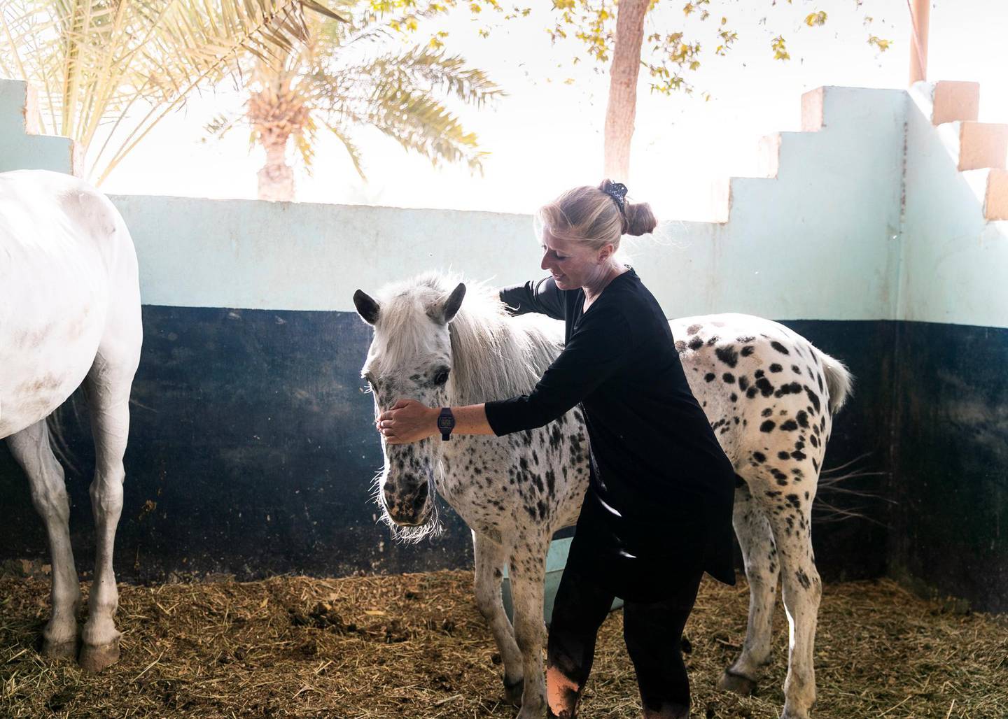 ABU DHABI, UNITED ARAB EMIRATES. 18 MARCH 2020.Yasmin Sayyed with Pebbles, a rescue horse. “Pebbles is 35 years old. She is shy, and always together with Antar. If you gain her trust, she is the most reliable horse.”, says Yasmin.Yasmin Sayyed runs Ride to Rescue. She has taken in 17 rescued horses who would normally be euthanized, and she tries to offset the cost of their care by offering the public healing sessions where they ride or walk with them. (Photo: Reem Mohammed/The National)Reporter:Section:
