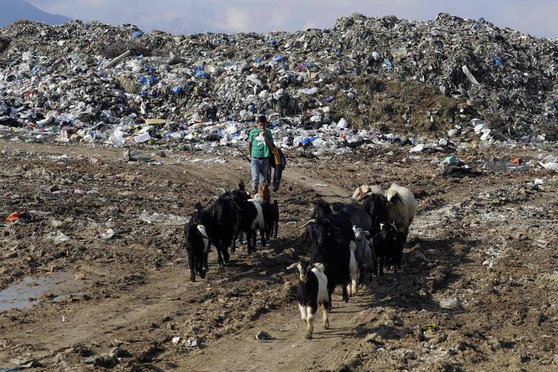 A Syrian girl hoards her livestock near a garbage dump at the entrance of Joubb Jannine, in Lebanon's west Bekaa valley on April 5, 2019. / AFP / JOSEPH EID
