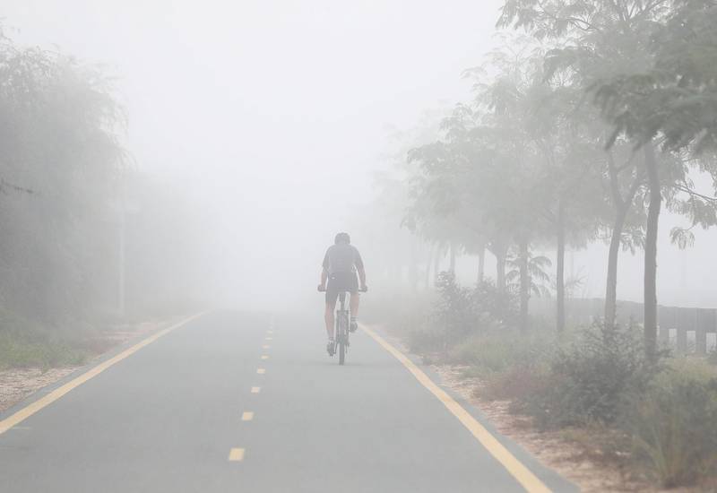 Dubai, United Arab Emirates - Reporter: N/A. News. Weather. Cyclists on Al Qudra cycle track during heavy fog in Dubai. Thursday, February 11th, 2021. Dubai. Chris Whiteoak / The National