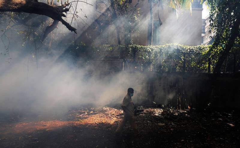 A municipal corporation worker fumigates a neighbourhood in Mumbai, Maharashtra state, India. AP Photo