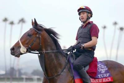 Trainer Mike de Kock has put his hopes on Treasure Beach in the world's richest horse race, the Dubai World Cup.