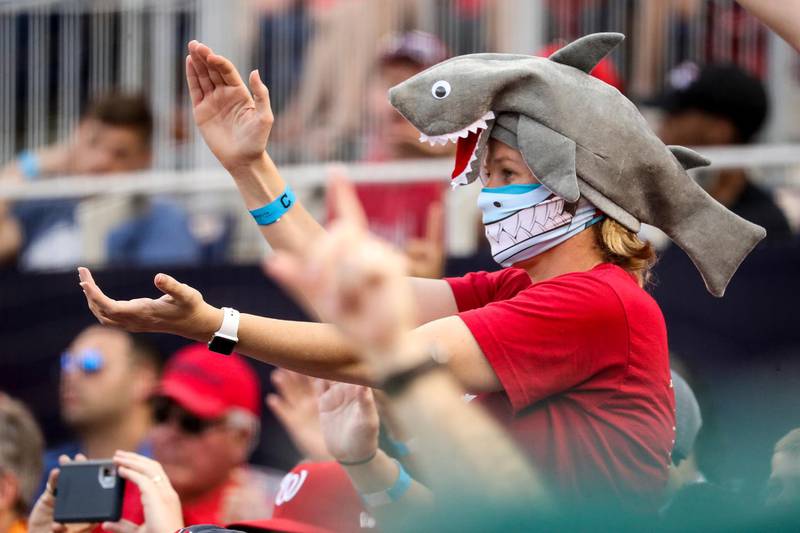In this Sept. 29, 2019, file photo, a fan wears a shark hat as Washington Nationals' Gerardo Parra comes up to bat in the eighth inning of a baseball game against the Cleveland Indians at Nationals Park in Washington. Creators of the viral video â€œBaby Shark,â€ whose â€œdoo doo dooâ€ song was played at the World Series in October, are developing a version in Navajo. (AP Photo/Andrew Harnik, File)