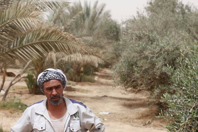 A local farmer speaks in a palm and olive grove in the "green belt" area of Iraq's central city of Karbala, on March 21, 2022.  - Envisioned as a lush fortress against worsening desertification and sand storms, the "green belt" of Iraq's Karbala stands as a wilted failure.  16 years after its inception, only a fraction of the 76-kilometre (47-mile) crescent-shaped strip of greenery has materialised, though the years proved a deep need for protection against mounting environmental challenges.  (Photo by Mohammed SAWAF  /  AFP)