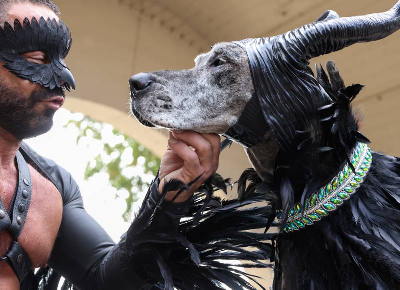 Steve Sanders and his great Dane Shadow, dressed as Maleficent. Reuters