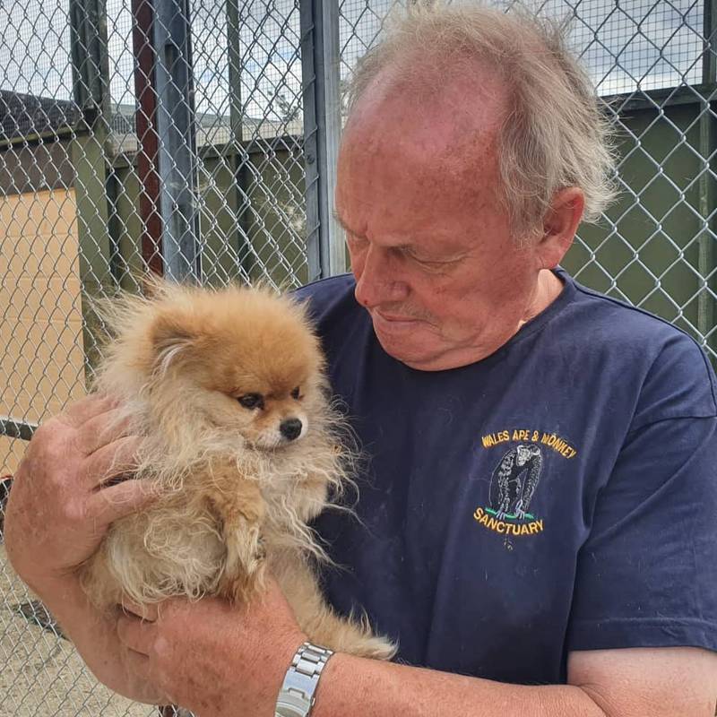 Animals rescued by Pen Farthing find new home after flight from Afghanistan