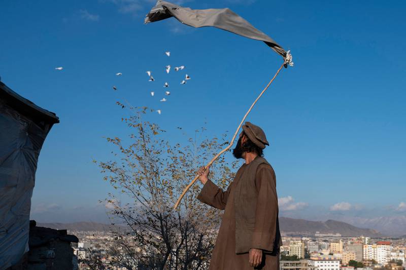 An Afghan pigeon fancier coaxes his pet birds into the air from Kolola Pushta hilltop in Kabul