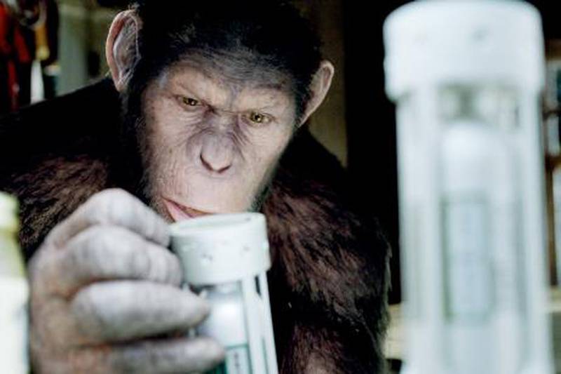 In this image released by Twentieth Century Fox, Caesar the chimp, a CG animal portrayed by Andy Serkis is shown in a scene from "Rise of the Planet of the Apes ." (AP Photo/Twentieth Century Fox)