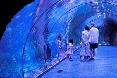 2. The National Aquarium Abu Dhabi at Al Qana. Khushnum Bhandari / The National
