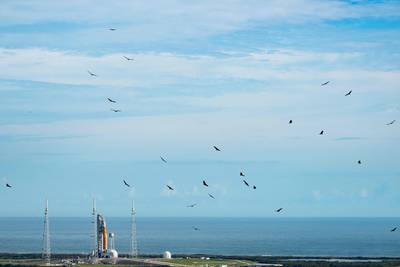 Black vultures circle the area as the Artemis I lunar rocket sits on launch pad 39B at NASA's Kennedy Space Center in Cape Canaveral, Florida, on November 15, 2022.  AFP
