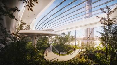 Skypark is the green lung of Downtown Circle and would include swamps, public parks, waterfalls, tropical vegetation and various floras. 