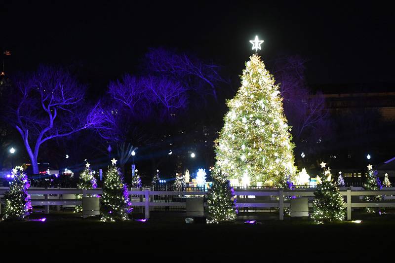 The lit tree is seen during the 100th National Christmas Tree Lighting. AFP