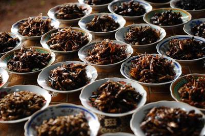 Plates of fried insects, including crickets and grasshoppers, for sale at a local market in Vientiane, Laos.  AFP Photo/ Hoang Dinh Nam