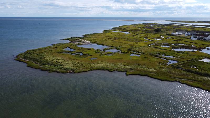 Much of Tangier Island has been transformed into marsh over the past century, leaving only 300 livable hectares. 