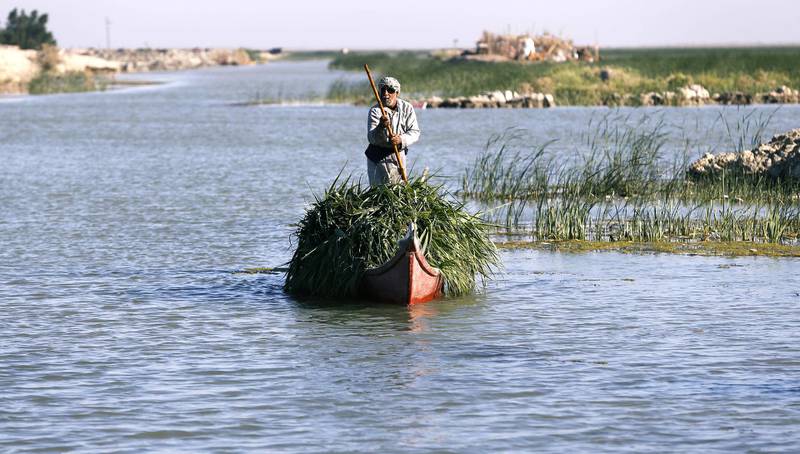 An Iraqi Marsh Arab paddles his boat as he collects reeds at the Chebayesh marsh in Dhi Qar province, Iraq April 14, 2019.  Picture taken April 14, 2019. REUTERS/Thaier al-Sudani