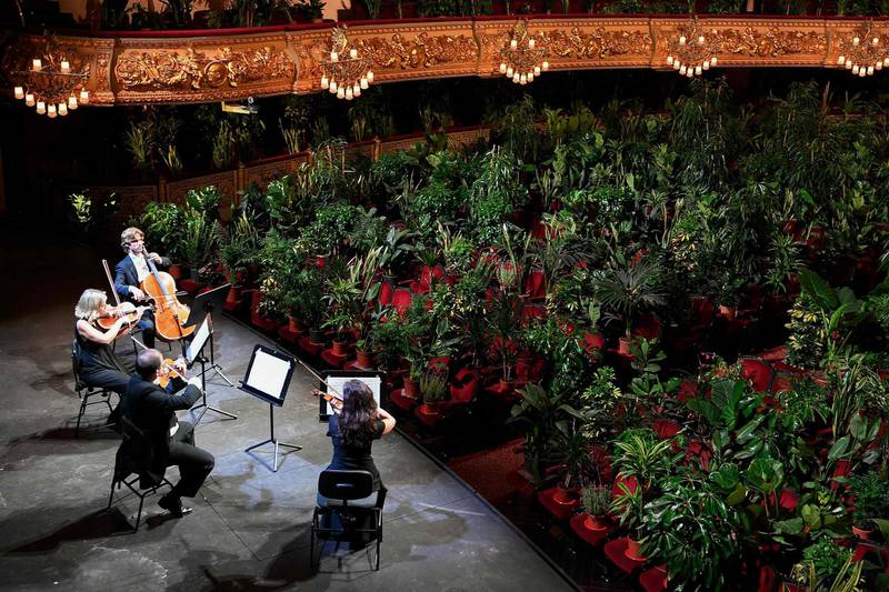 The Uceli Quartet perform for an audience made of plants during a concert created by Spanish artist Eugenio Ampudia. AFP
