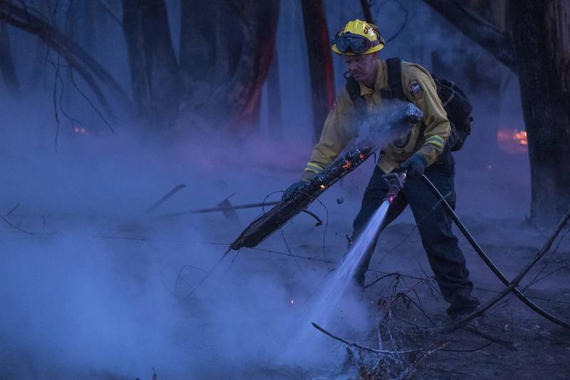 A firefighter douses a burning log near Aromas, California.  AP
