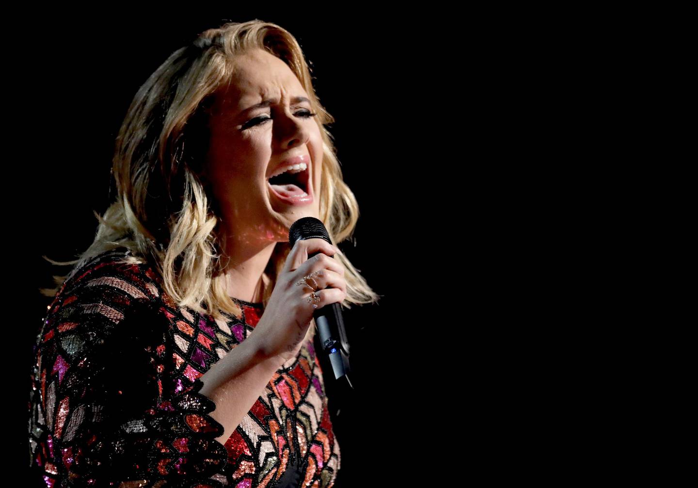 Adele's specific fear of seagulls has something to do with a stealing bird. Photo: Matt Sayles