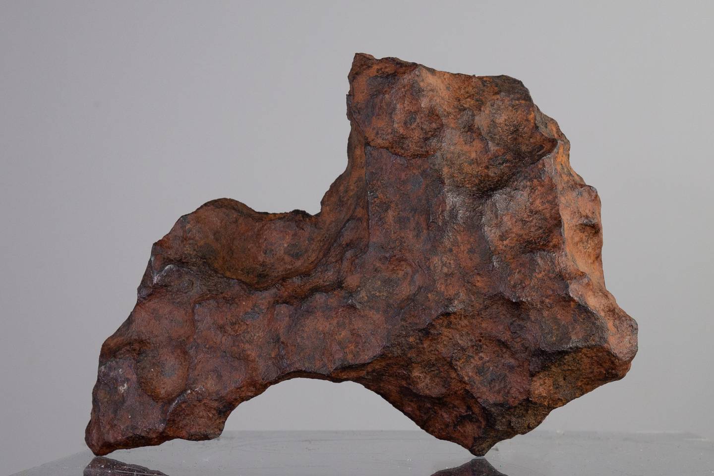 A Gibeon iron meteorite. Photo: McTear’s