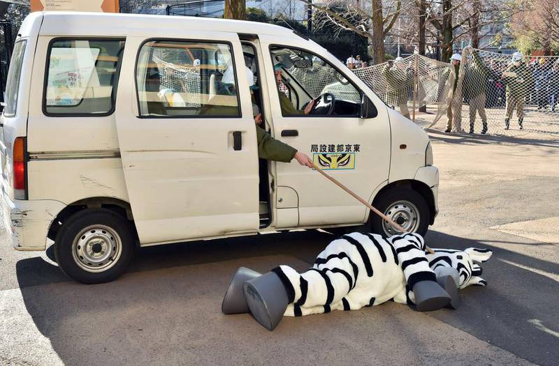 The zebra is caught by a man in a small van. About 150 zookeepers participated in the annual drill. Kazuhiro Nogi / AFP Photo