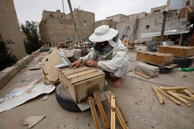 Yemeni beekeeper Muhammad Mutahar checks hives at his bee farm on the roof of his house in Sanaa. EPA