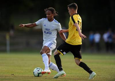 Bobby Reid, Cardiff City: Has made an impact but may not get another shot at the top flight if Cardiff go down. Chance of a cap - 4/10. Getty Images