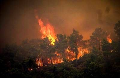 A large forest fire on the Greek island of Rhodes has forced authorities to order an evacuation of four locations. AP