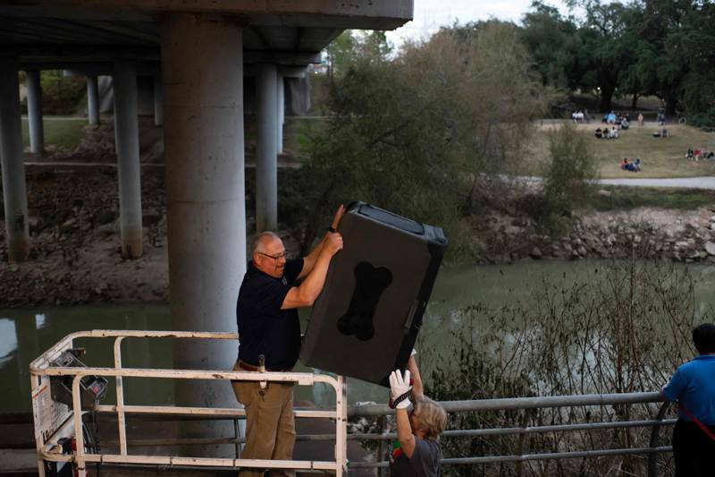Bats live under bridges in Texas. AFP