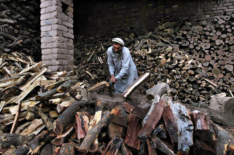 A Pakistani wood vendor cuts logs in Peshawar, Pakistan. Mohammad Sajjad / AP Photo