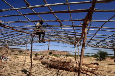 An Ethiopian refugee sets up a tent in a camp in the town of Gedaref, Sudan, after being transported from the border reception centre.