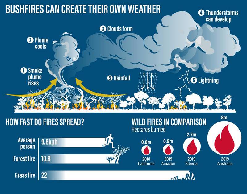 Bushfire