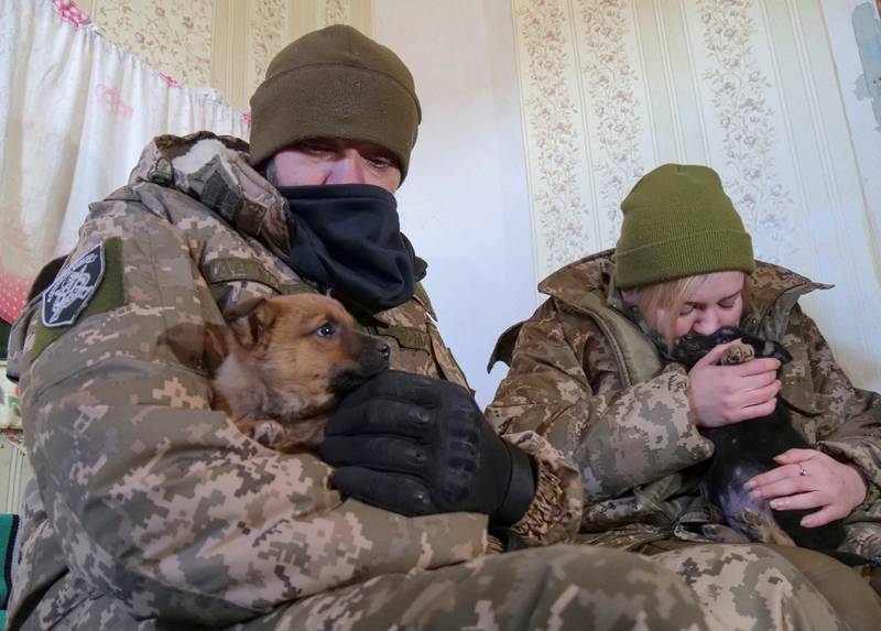Ukrainian troops Valeriia and Oleksii cuddle puppies found in an abandoned house, near the town of Bakhmut, as fighting with Russia continues. Reuters