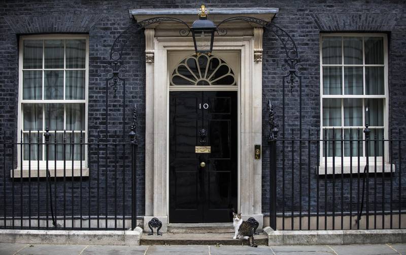 Larry, the Downing Street cat, a brown and white tabby re-homed from Battersea Dogs and Cats Home, sits outside number 10 Downing Street in London, U.K., on Wednesday, May 29, 2019. U.K. Prime Minister Theresa May's decision to step down on June 7 has fired the starting gun for a Conservative Party leadership race that could redefine Britain’s exit from the European Union. Photographer: Chris Ratcliffe/Bloomberg