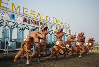 Racers, including eventual winner Ocean Kim (5), leave the gates for the championship race during the "T-Rex World Championship Races" at Emerald Downs, Sunday, Aug.  20, 2023, in Auburn, Wash.  (AP Photo / Lindsey Wasson)
