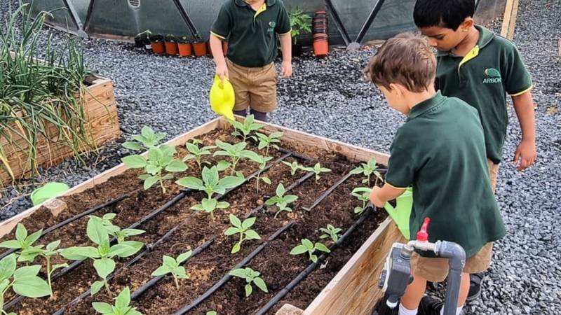 The Arbor School in Dubai helps children feel connected to the fruit and veg they plant. Photo: The Arbor School