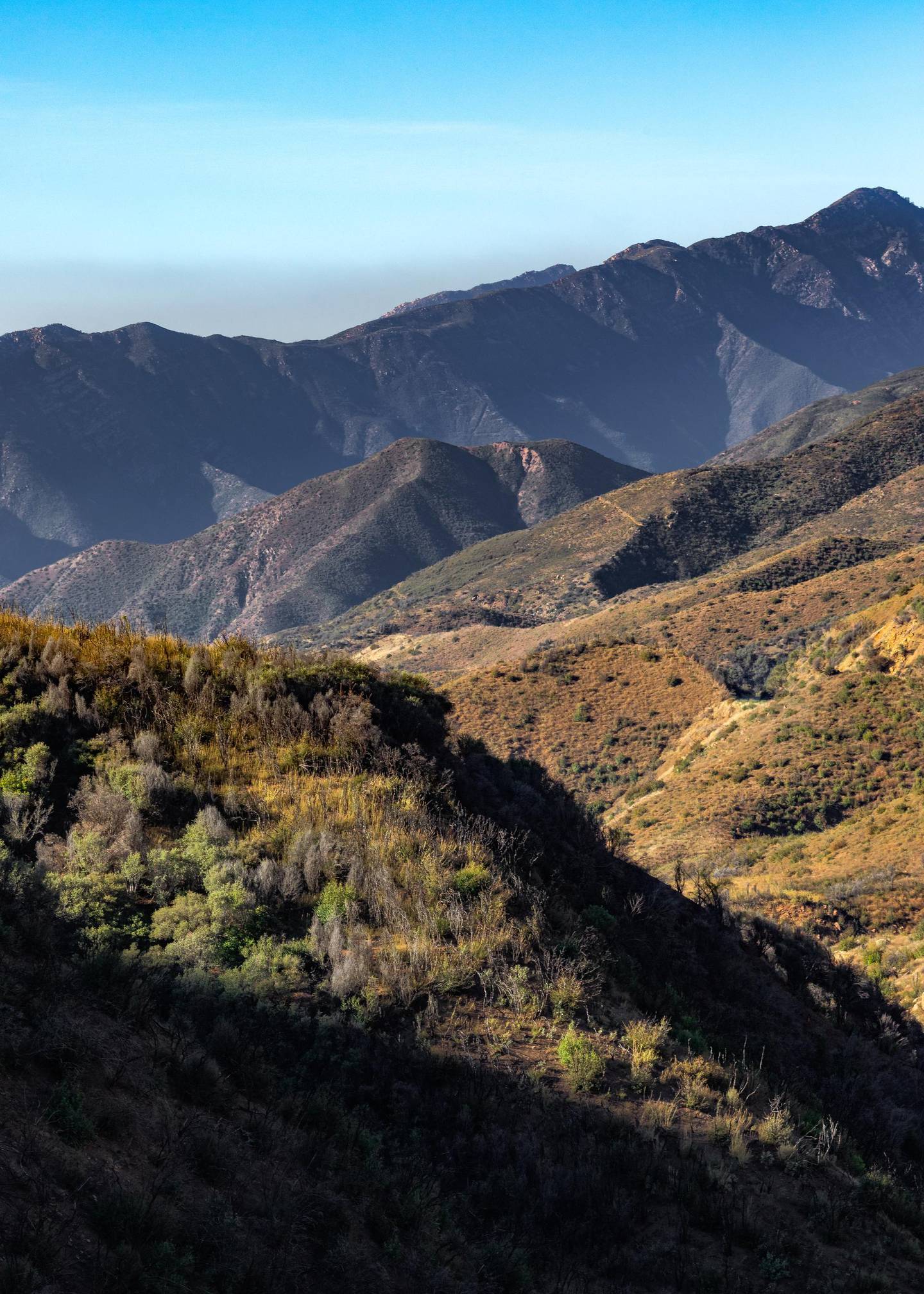 Los Padres National Forest, California, USA. Unsplash 