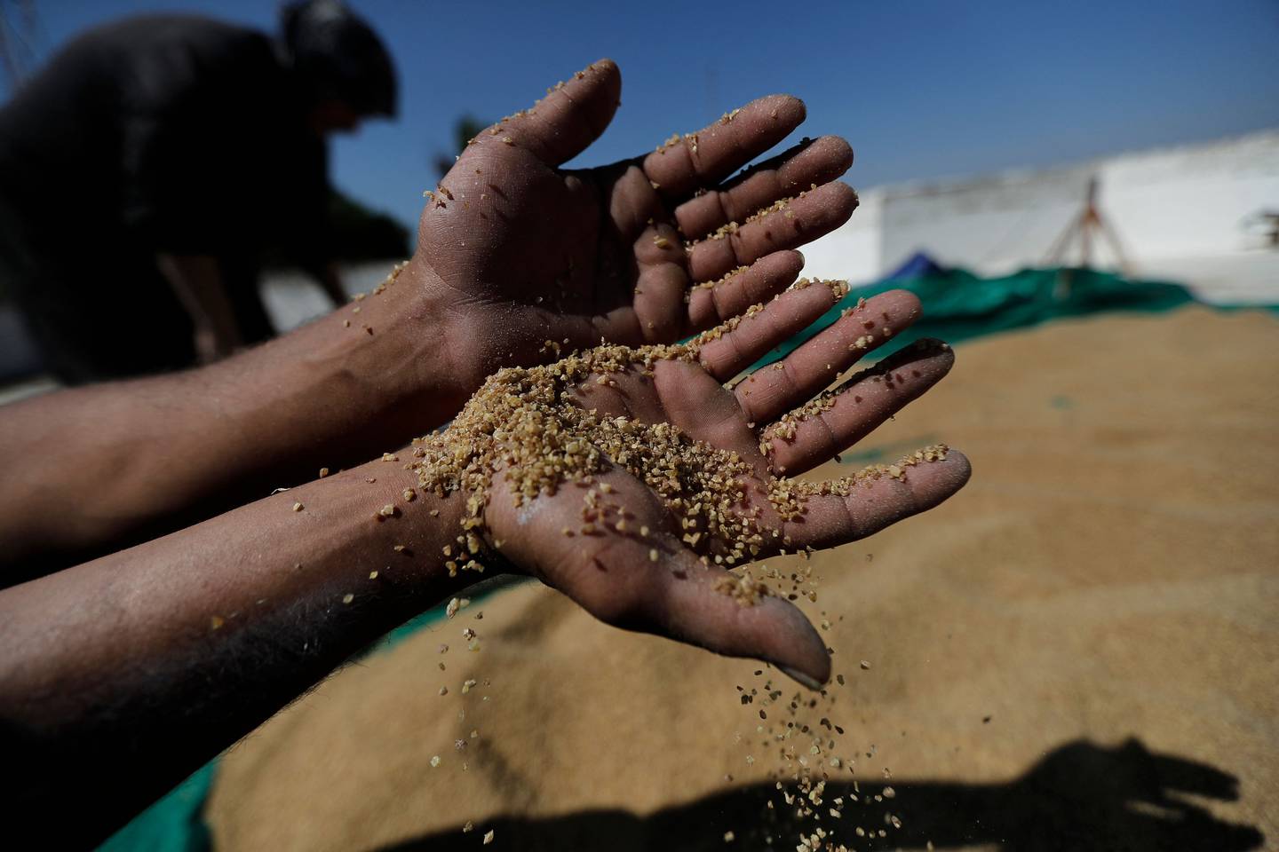 Milled wheat in the southern Lebanese town of Marjayoun. AFP