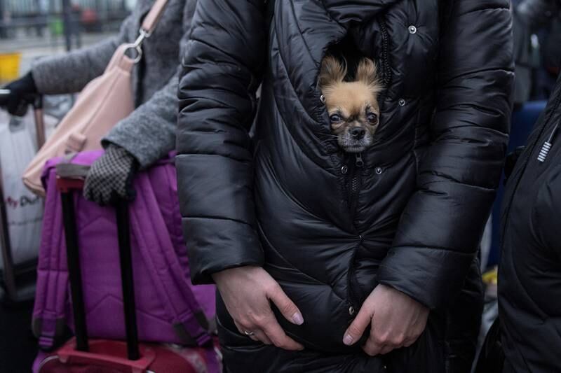 A refugee holds her dog as they wait for trains to Poland in Lviv, Ukraine. Reuters
