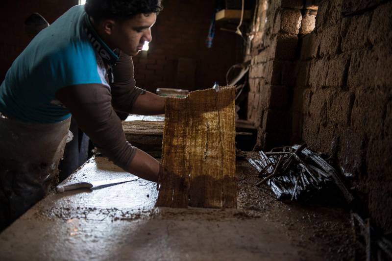 epa08079596 A worker prepares a papyrus sheet before being dried at a workshop in Al-Qaramos, a village in Sharqia governorate, north Cairo, Egypt, 17 December 2019 (issued 18 December 2019).  The majority of Al-Qaramos village residents are employed in the production process of the thick paper used by ancient Egyptians as a writing surface from the pith of the papyrus plant. The production process includes cutting the plant, peeling off and slicing the rods, immersing the sliced stems in water to gain flexibility, then in chlorine to whiten them. The slices are arranged alongside, compressed and left to dry before adding Pharaonic drawings on them. Some families produce about 1,000 sheets daily sold in gifts shops and bazaars in Egypt.  EPA/MOHAMED HOSSAM  ATTENTION: This Image is part of a PHOTO SET