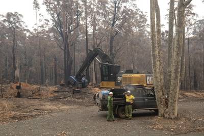 Workers remove burnt trees on the Princes highway near Mallacoota. Getty Images