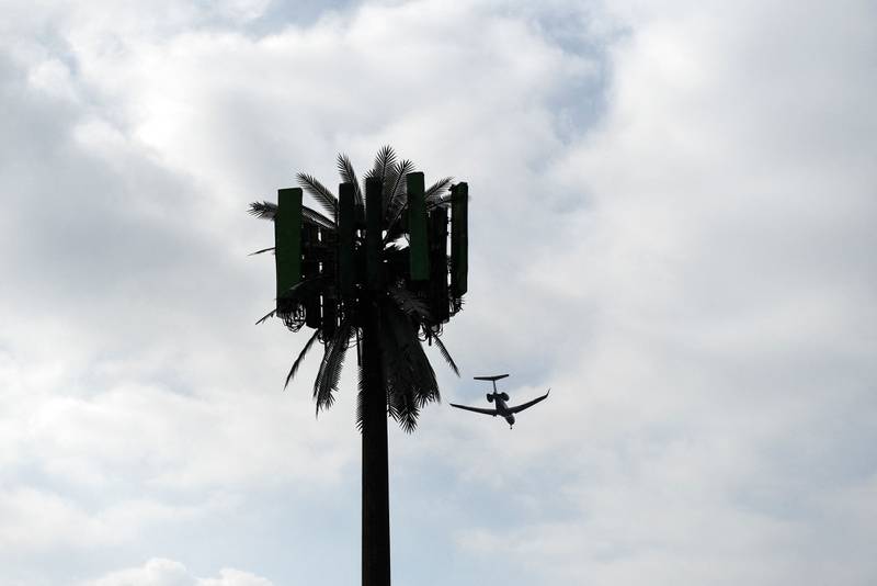 A cellular tower disguised as a palm tree at Los Angeles International Airport. Planes most susceptible to interference – smaller, so-called regional airline planes – must be retrofitted with filters or new altimeters by the end of this year, the FAA has said. AFP