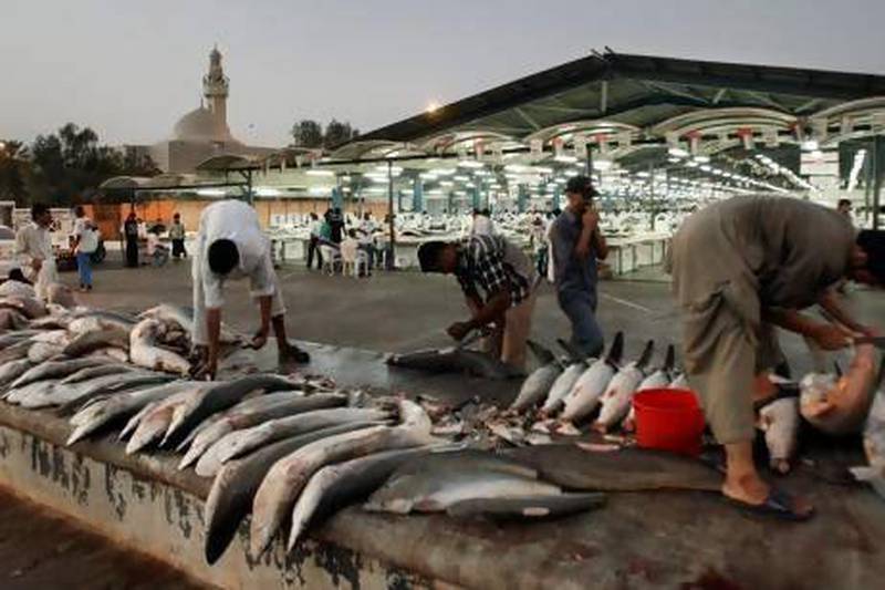 Workers cut shark fins at a fish market in Dubai. AP